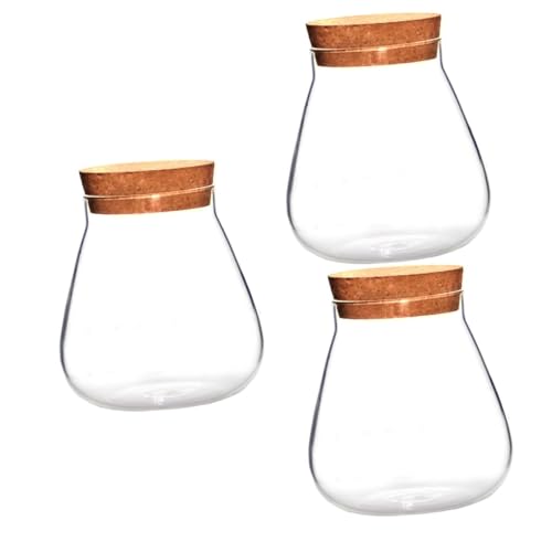 BCOATH 3 STK Flasche Aus Korkglas Micro-landschaftshalter Klares Terrarium Adornos para Mesa De Falsche Luft Mini-vasen Trockenblumen Für Die Vase Pflanzen Brown Flaschenverschluss Kork von BCOATH