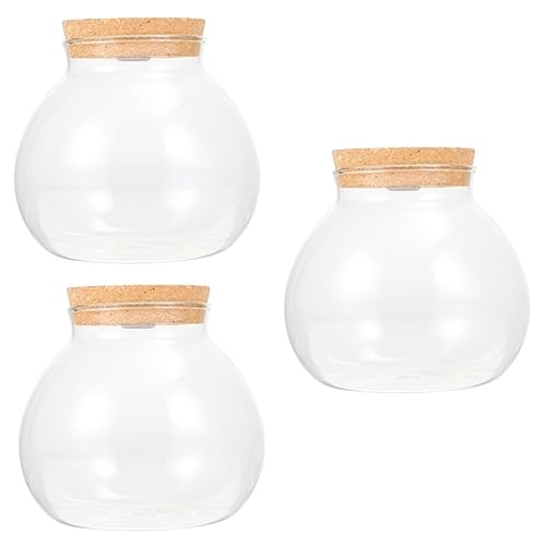 BCOATH 3St Landschaftsflasche Luftpflanzen Terrarium Aquariumständer Anlage led ligts led-Light hochzeitsdeko glasflasche Micro-Landschafts-DIY-Flasche transparente Fischflasche Holz Weiß von BCOATH