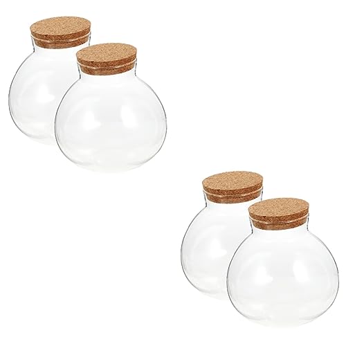 BCOATH 4 Stück Ökologische Mikrolandschaftsflasche Terrarium-Kit Terrakotta außen Glocke Luftpflanze zimmerpflanzen wohnaccessoires Landschaft Flasche Mikrolandschaft Leere Flasche Kork von BCOATH