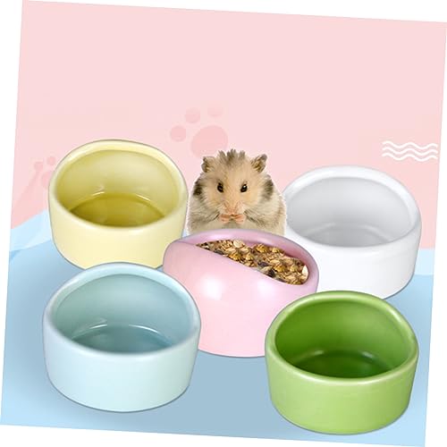 BCOATH Hamster-futternäpfe 5er-Set Keramik-futternapf Nicht Biegbar für Trockenfutter Snacks Frisches Futter von BCOATH