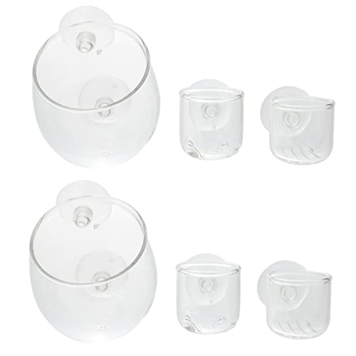 BCOATH Aquarium Pflanze Aquarium Decor Cup Pflanzer 6Pcs Redworm Cup Saugnapf Pflanzer von BCOATH