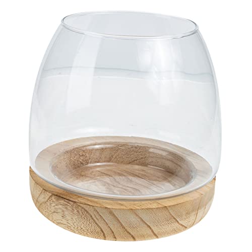 Hydrokultur Pflanzen Container Glas Betta Fisch Tank Stehen für Home Office Kreative Terrarium Schüssel von BCOATH