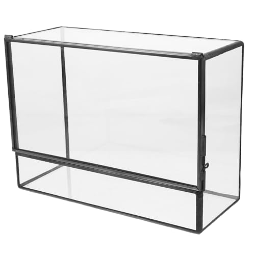 BCOATH Glas-Blumentopf Terrarium Desktop-Landschaftsdisplayhalter für Sukkulenten-Terrarienpflanzen von BCOATH