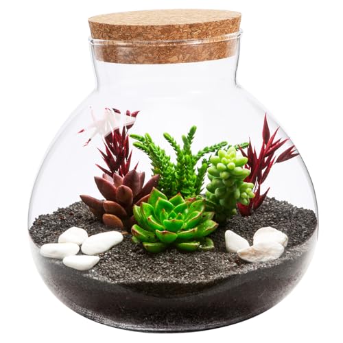 BCOATH Mikro Landschafts Ökologie Glasflasche Mit Korkverschluss 15cm x Leere Aufbewahrungsflasche Für Kreative Deko Ideen Im Terrarium Und Pflanzenarrangements von BCOATH