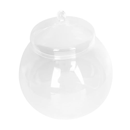 BCOATH Mikrolandschaft Glasflasche mit Deckel DIY Moos Terrarium für Innenraum Glatte Oberfläche Einfach zu Reinigen Kreatives Mikro landschafts ökosystem für Zimmer und Büro BCOATH Mikrolandschaft Glasflasche mit Deckel DIY Moos Terrarium für Innenraum Glatte Oberfläche Einfach zu Reinigen Kreatives Mikro landschafts ökosystem für Zimmer und Büro von BCOATH