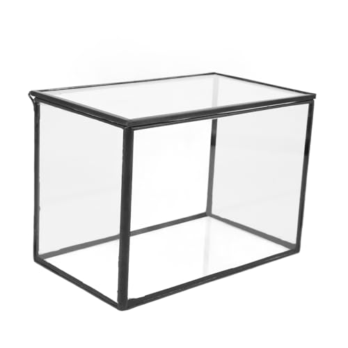 BCOATH Glas Terrarium Moos Landschaft Pflanzer Box Für Mini Garten von BCOATH