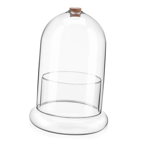 BCOATH Mikrolandschaftsmoosbedeckung Mikrolandschaft Terrarium Terrarienbehälter Moos Landschaft Container Mikro-landschaftspflanzerflasche Glocke Pflanzen Landschaftsbehälter Vase Glas von BCOATH