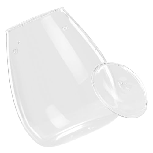 BCOATH Glas Ökologische Flasche Einfache Landschaft Pflanzen Container Leere für Home Office von BCOATH