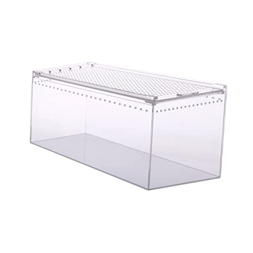 Kasten Krabbelbox Aus Acryl Gecko-Terrarium Vogelspinnengehege Aufbewahrungsnest Für Reptilien Vivarienbecken Reiseträger Für Reptilien Reptilienbecken Mini-Terrarium Transparent BCOATH von BCOATH