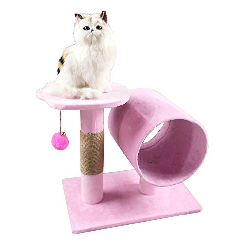 Kratzbaum Condo Kleine Katze Klettergerüst Katzenspielbaum Schleifkrallenspielzeug Robustes Katzenklettergerüst (Farbe: C1) g (Farbe: C1) (C1) von BDDCYWY