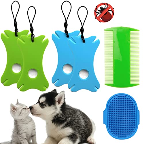 BDSHUNBF 6 Stück Zeckenkarte mit Lupe, Zeckenzange Zeckenhaken Zeckenentferner, Zecken Entfernen für Hunde Katze Menschen Tier, Ideal Für Outdoor von BDSHUNBF