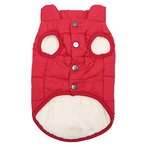 1 Stück Herbst Winter Warm Haustier Katze Kleidung Für Katzen Weich, Rot, L von BDSTT