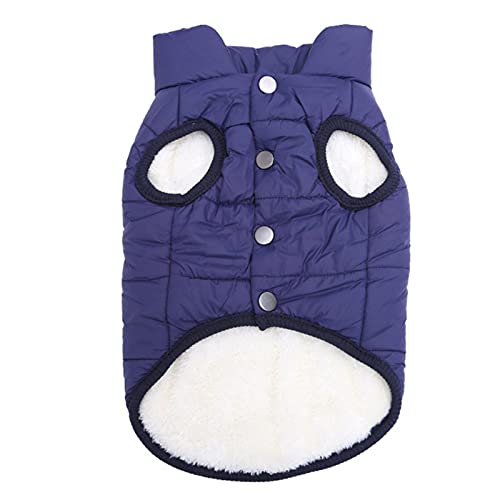 1 Stück Herbst Winter Warm Haustier Katze Kleidung Für Katzen Weich-Blau, XXXL von BDSTT