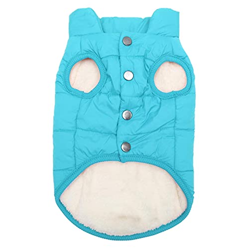 1 Stück Herbst Winter Warm Haustier Katze Kleidung Für Katzen Weich-Sky Blau, L von BDSTT