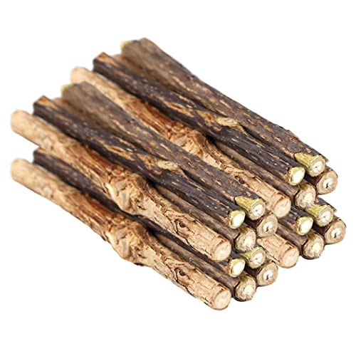 BEAHING Catnip Sticks natürliche Silbervine -Reinigungszähne Molkolben kauen Spielzeug für Kitty Cat 20pcs von BEAHING