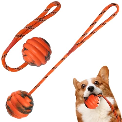 BEAHING Hundeball auf Seil 2pcs Gummibugel auf Seilhundspielzeug Interaktiver Hundetraining Ball 12x2.4 Tragbare Zahnen Hundespielzeug für Belohnung, Abholung, Spiel, Hundeball am Seil von BEAHING