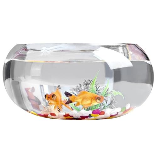 Fischschüssel 11,8x5,5 '' klarer runde Glasfischschale mit farbigem Stein ＆ Fischfutter Goldfischschale Nicht-rutsches kleiner Fischtank für Fischschildkröten Pflanzen Home Office Dekor, Fischschüsse von BEAHING