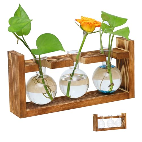 Pflanzenverbreitungsstationen Pflanzen Terrarium Glasspflanzer mit Holzstand für Hydroponische Pflanzen Büro Home Dekoration Glassplanter von BEAHING