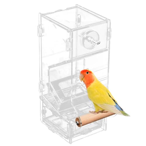 Vogelkäfig -Feeder, automatischer Vogelhäuschen für Käfig 3x3,5 x 8 Zoll transparent ohne Mess Vogelfutterhäusch mit Barsch und großer Fütterungsanschluss nachfüllbarer Vogelkäfig -Feeder für Papagei von BEAHING