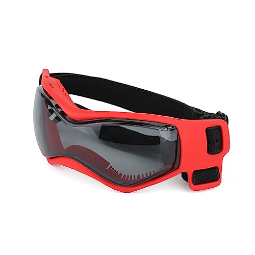 BEALIFE 1 Paar ABS Brille für Haustiere, lässig, einfarbig, Outdoor Schwimmen, Skifahren, Snowboarden, Haustiere, Brillen, Brillen, Rot von BEALIFE