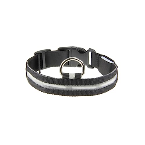 BEALIFE Haustier Nylon Leuchthalsband, Wandern, Nacht, wiederaufladbar, beleuchtetes Halsband, tragbares Halsband, Haustierzubehör, Geschenk, Weiss, L von BEALIFE