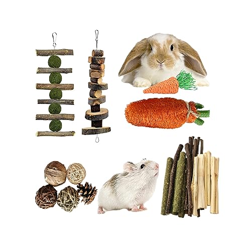 BEALIFE Kauspielzeug Set – für kleine Räume, langlebig und stilvoll, Tier Kauspielzeug, Holz Kauspielzeug Set, Kaninchen, Meerschweinchen, interessant, 12 teiliges Set von BEALIFE