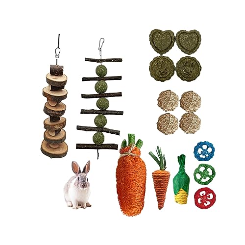 BEALIFE Kauspielzeug Set – für kleine Räume, langlebig und stilvoll, Tier Kauspielzeug, Holz Kauspielzeug Set, Kaninchen, Meerschweinchen, interessant, 16 teiliges Set B von BEALIFE