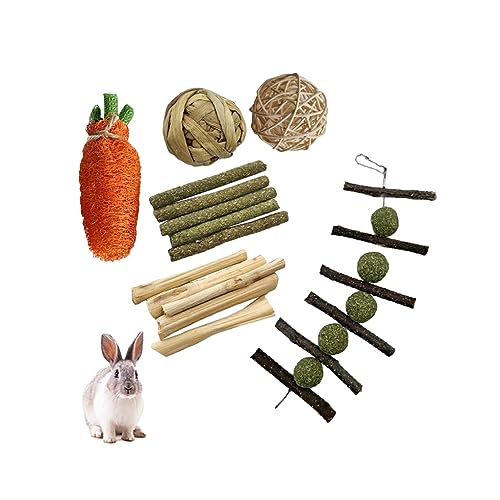 BEALIFE Kauspielzeug Set – für kleine Räume, langlebig und stilvoll, Tier Kauspielzeug, Holz Kauspielzeug Set, Kaninchen, Meerschweinchen, interessant, 6 teiliges Set von BEALIFE