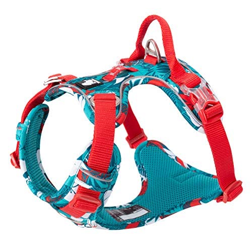 BEAUTYBIGBANG Hundegeschirr No-Pull Hundegeschirr Anti Zug für Kleine Mittelgroße Große Hunde Weich Atmungsaktiv Reflectives No Pull Dog Harness Weich Gepolstert Atmungsaktiv (S,Blau-Rot) von BEAUTYBIGBANG