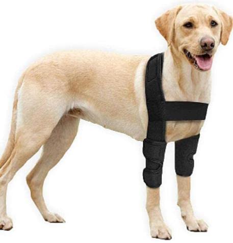 BEAUTYBIGBANG Kniebandage für Hunde Ellenbogenbandage für Hunde Ellenbogen Dysplasie Sprunggelenk Schutz Bandage Gelenkbandage Arthrose Ellenbogen Hygroma Dysplasie Arthrose Ellenbogenschwielen (L) von BEAUTYBIGBANG