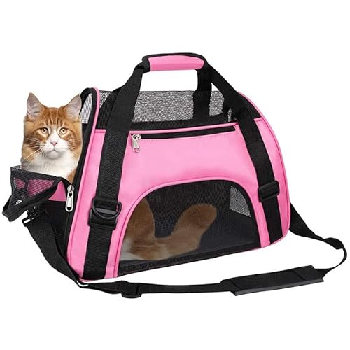 Transportbox für Hunde und Katzen Atmungsaktive Katzentransporttasche, Katzentransportbox mit Schultergurt bequem tragbar Tragetasche Katze für Reisen/Auto/Zug/Flugzeug (L) von BEAUTYBIGBANG