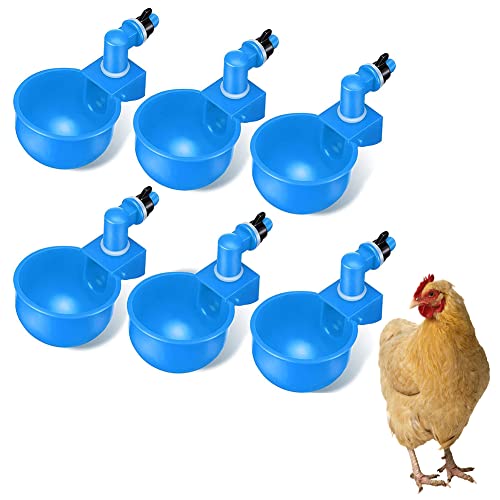 Tränke für vögel Kunststoff Chicken Cups Chicken Drinker Cups Automatische GeflüGel Tränkeschale GeflüGel Trinkwerkzeug, Geeignet FüR VöGel,GeflüGel,Tauben,HüHner,Enten (6pcs) von BEAUTYBIGBANG