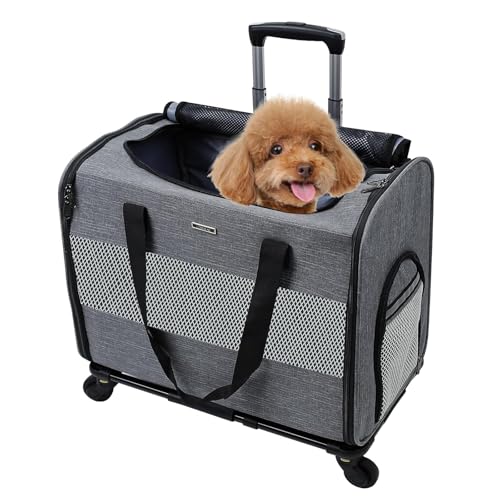 BEAUTYMONKEY.K Hundetransportbox mit Rollen für Klein Hunde, Haustiertransportbox mit Rollen für kleine Hunde und Katzen bis 10kg, Hundetasche mit Rollen Ideal für Chihuahua Schnauzer von BEAUTYMONKEY.K