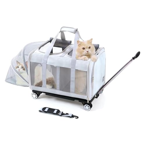 BEAUTYMONKEY.K Katzen Transporttasche für 2 Tiere mit Rollen Abnehmbarem Untergestell – 2-Kammer-Design Transportbox Trolley Groß für Zwei Katzen mit Räder – Ideal für Tierarzt, Autoreisen(55x44x33cm) von BEAUTYMONKEY.K