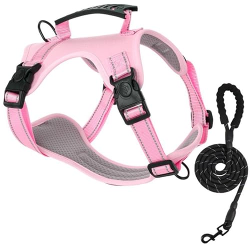 Hundeleine für kleine Hunde, Brustgeschirr für Haustierhalsband, Hundeleine zum Spazierengehen für Bichon Frise Teddy Pomeranian (L-14-17.5kg,Rosa + 2 m Seil) von BEAUTYMONKEY.K