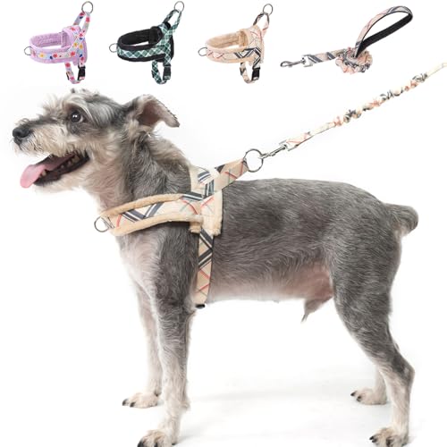 BEAUTYZOO Hundegeschirr und Leine, Beige, Größe XS von BEAUTYZOO