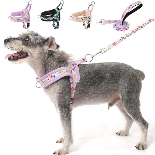 BEAUTYZOO Hundegeschirr und Leine, kein Ziehen, Set für kleine und mittelgroße Hunde, weiches Flanell, gepolstert, verstellbares Welpengeschirr, vorne und hinten, Clipbefestigung, schnelle Passform, von BEAUTYZOO