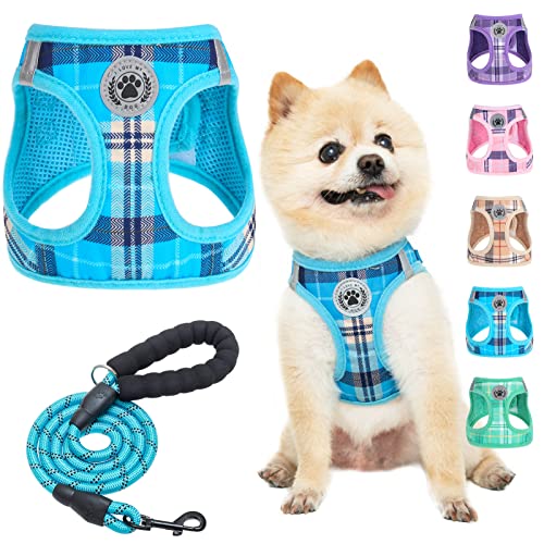 BEAUTYZOO Kleines Hundegeschirr und Leine, Set, kein Ersticken, kein Ziehen, weiches Netz-Hundegeschirr, reflektierend für extra kleine/kleine, kariertes Hundegeschirr für XS S Haustiere, Blau XXS von BEAUTYZOO