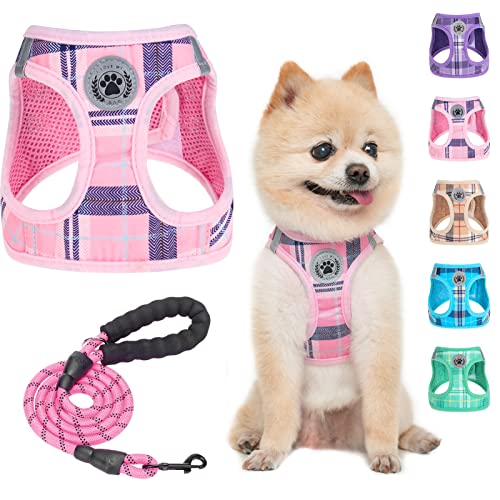 BEAUTYZOO Kleines Hundegeschirr und Leine, Set, kein Ersticken, kein Ziehen, weiches Netz-Hundegeschirr, reflektierend für extra kleine/kleine, kariertes Hundegeschirr für XS S Haustiere, Rosa XXS von BEAUTYZOO