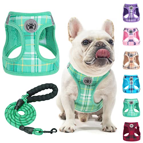 BEAUTYZOO Kleines Hundegeschirr und Leine, Set, kein Ersticken, kein Ziehen, weiches Netz-Hundegeschirr, reflektierend für extra kleine/kleine, mittelgroße Welpen und Katzen, Türkis, XL von BEAUTYZOO