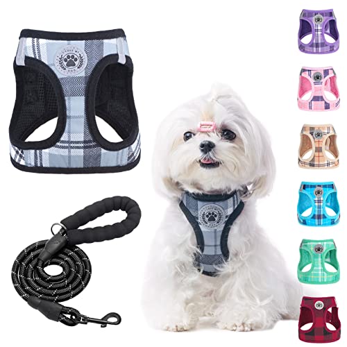 BEAUTYZOO Kleines Hundegeschirr und Leine, Step in No Chock No Pull Soft Mesh Hundegeschirr Reflektierend für extra kleinekleine mittelgroße Welpen Hunde und Katzen, Plaid Hundeweste Geschirr für XS von BEAUTYZOO