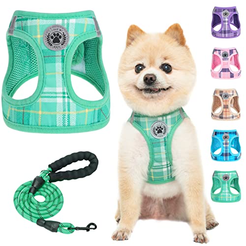 BEAUTYZOO Kleines Hundegeschirr und Leine, Plaid Hundeweste Geschirr für XS S Haustiere (Türkis, XS) von BEAUTYZOO