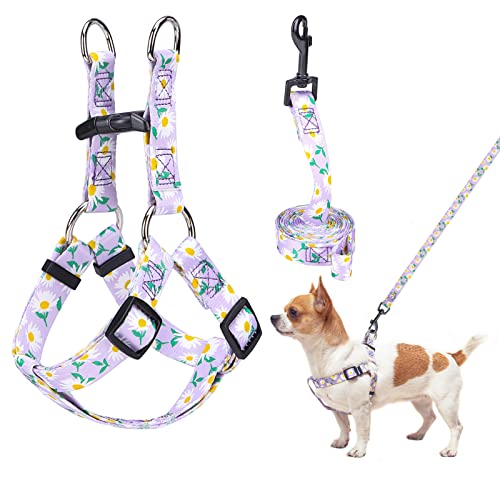 BEAUTYZOO No Pull Hundegeschirr oder Weste Geschirr Hundetraining Spaziergang Welpengeschirr für kleine Hunde Polyester Hundegeschirr für Hunde Mädchen und Jungen von BEAUTYZOO