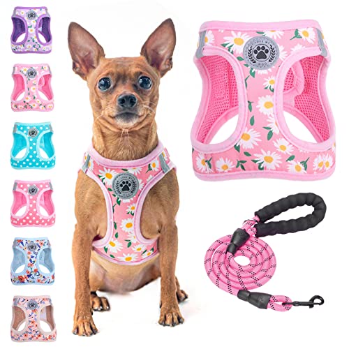 BEAUTYZOO Step in Dog Harness and Leash Set, Floral Pattern Reflective Dog Harness No Pull No Choke Puppy Harness for XXS XS S Dogs Cats, Soft Padded Mesh Vest Harnesses for Girl and Boy Pets von BEAUTYZOO