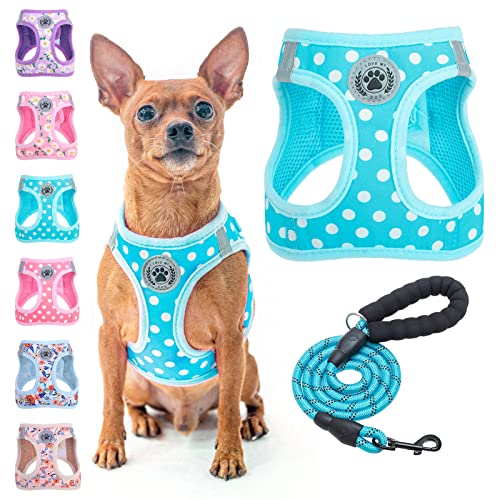 BEAUTYZOO Step in Dog Harness and Leash Set, Polka Dot Pattern Reflective Dog Harness No Pull No Choke Puppy Harness for XXS XS S Dogs Cats, Soft Padded Mesh Vest Harnesses for Girl and Boy Pets von BEAUTYZOO