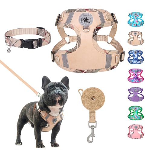 BEAUTYZOO Step-in-Hundegeschirr, Halsband und Leine, Set für kleine, mittelgroße und große Hunde, kein Ziehen, kein Würgen, Welpengeschirr, weiches Netzgewebe, reflektierend, gepolstert, verstellbar, von BEAUTYZOO