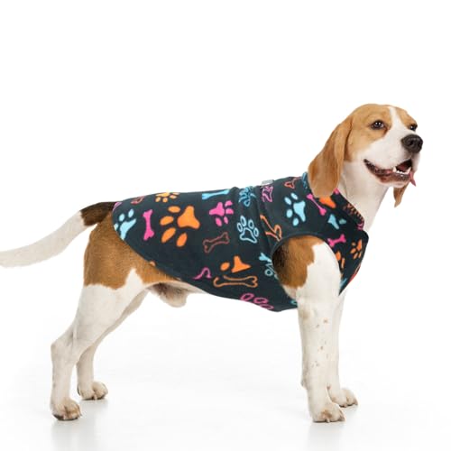 BEAUTYZOO Hundepullover für kleine Hunde, Fleece-Weste, Winterjacke, D-Ring, Leinenbefestigung für XS, S, Welpen, mittelgroße Rassen, Hunde, kaltes Wetter, winddicht, hält warm, schwarze Knochen, von BEAUTYZOO