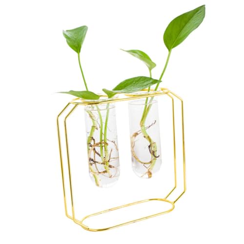 BEBEMOKO 1 Set Metall-Eisen-Arrangement-Vase, stilvoller Glas-Pflanzgefäß für Zimmerpflanzen, 2 Terrarienvasen für Heimdekoration und Tischdekoration von BEBEMOKO