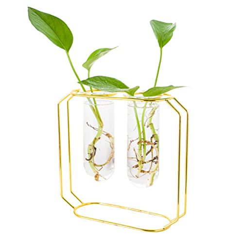 BEBEMOKO 1 Set Metall Eisen Kunst Blumenarrangement Vase Stilvolle Pflanzen Terrarium Glas Pflanzgefäß 2 Stück Vasen Für Tischdeko Moderne Glasvasen Für Wasserpflanzen Und Künstliche von BEBEMOKO