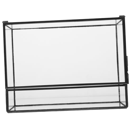 BEBEMOKO Box Glas Landschaftsbau Tank Terrarium Pflanzendekoration Behälter Querformat Displayhalter Flasche Mikro Landschaftshalter Mikro Landschaftsbehälter Tischdekoration von BEBEMOKO